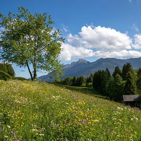 Krone Tirol