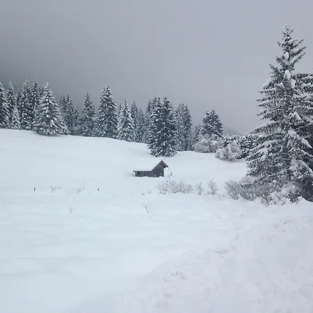 فندق Krone Tirol 3*