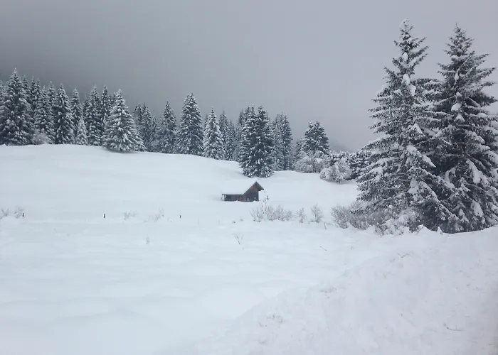 Hotel Krone Tirol 3*